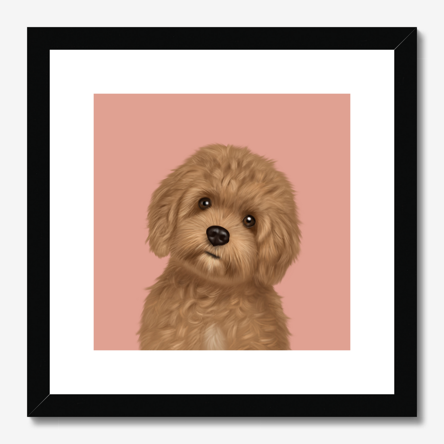 Cavapoo Framed Print