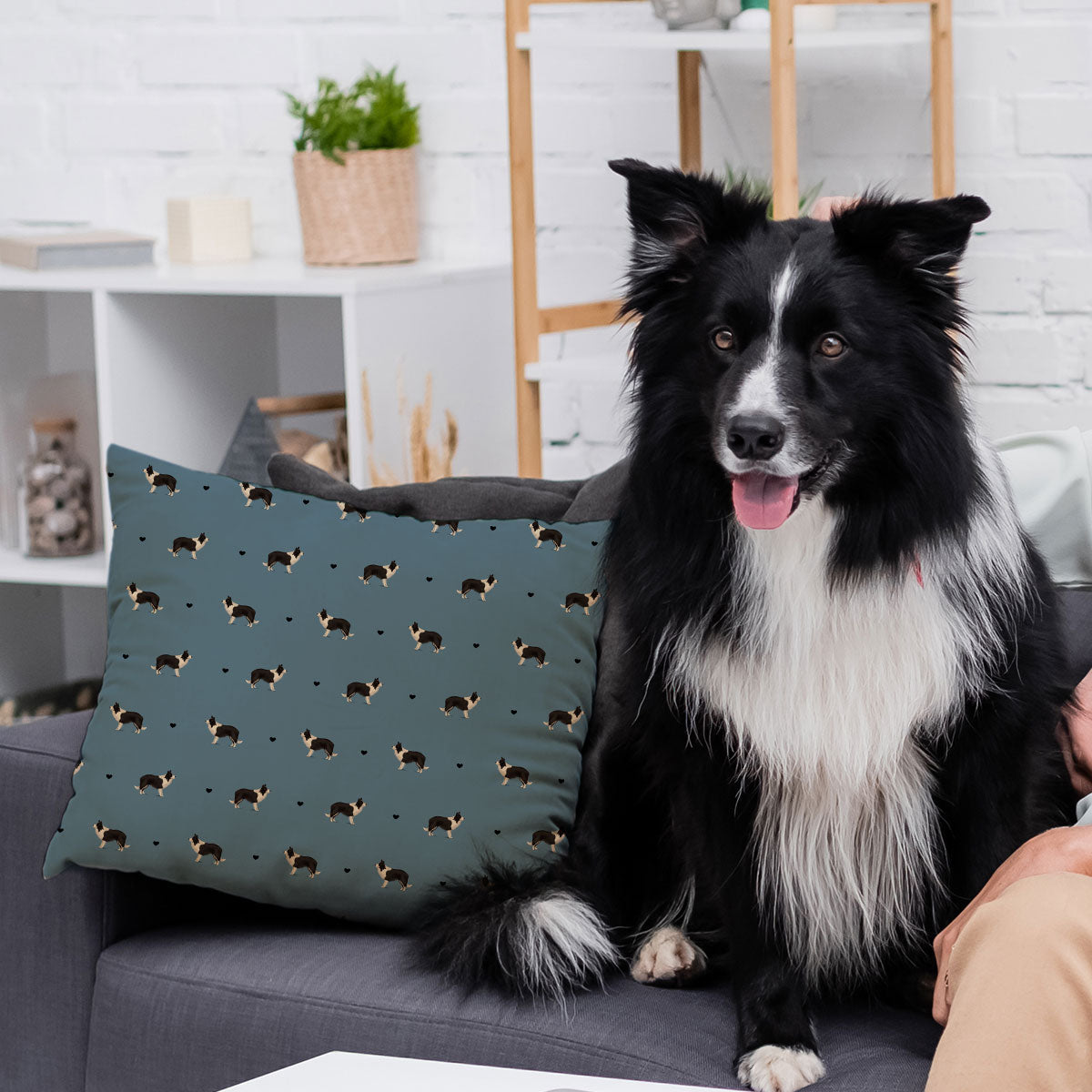 Border Collie and Hearts Patterned Cushion