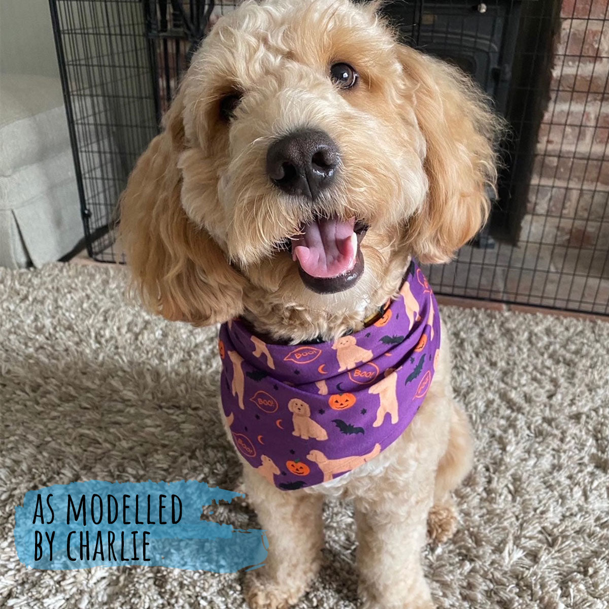 Cockapoo Halloween Edition Dog Bandana