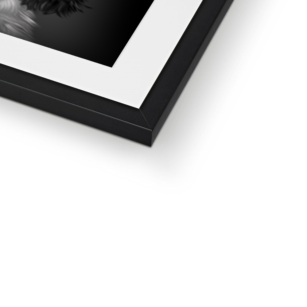 Blue Roan Cocker Spaniel Framed Print