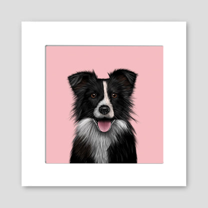 Border Collie Mounted Print