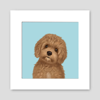 Cavapoo Mounted Print