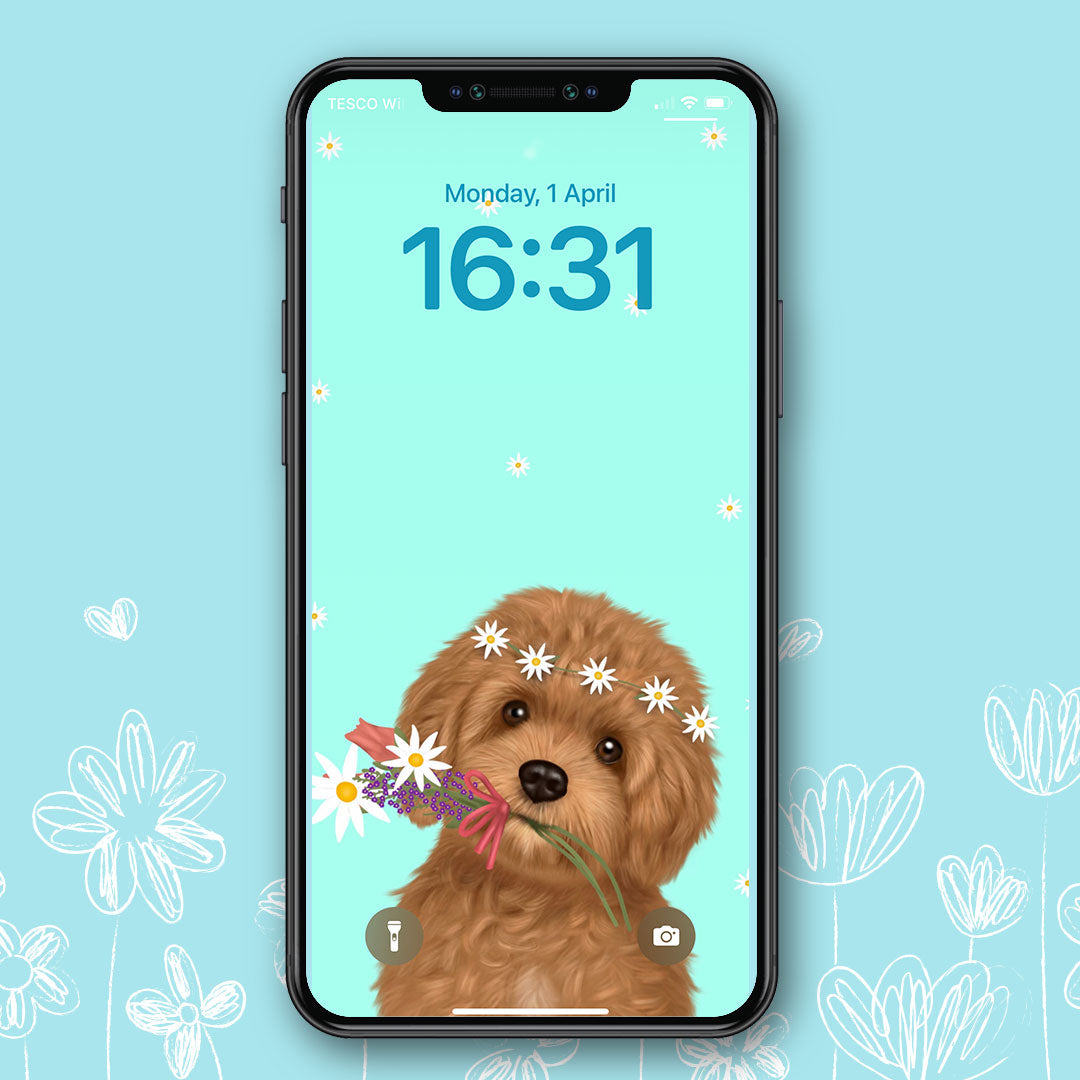 Cavapoo Spring Phone Wallpaper