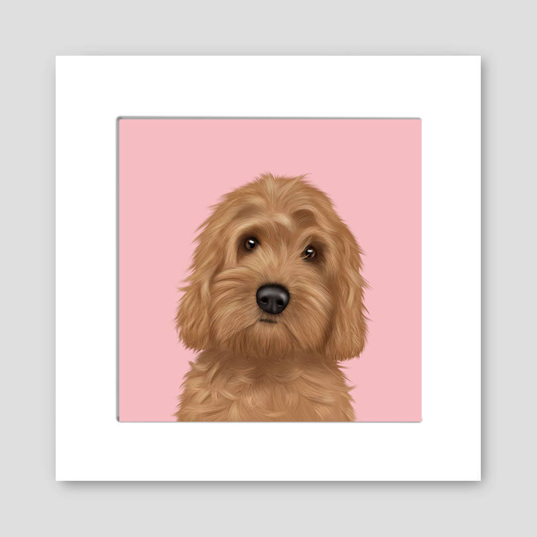 Cockapoo Mounted Print