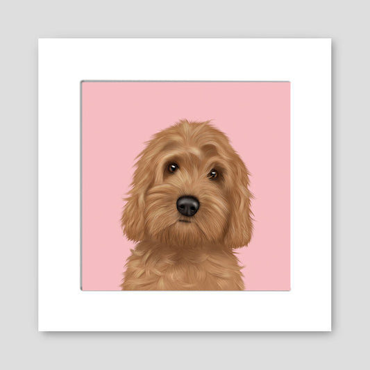 Cockapoo Mounted Print