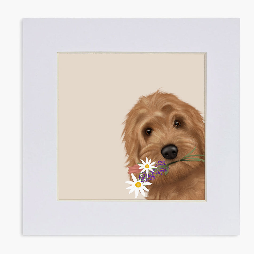 Cockapoo "got you something" Mounted Print