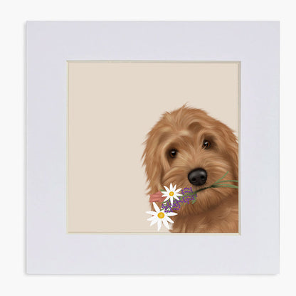 Cockapoo "got you something" Mounted Print