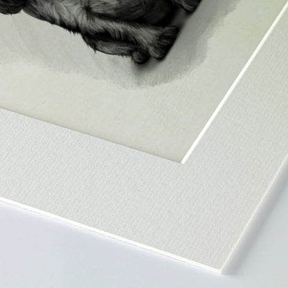 Blue Roan Cocker Spaniel Mounted Print