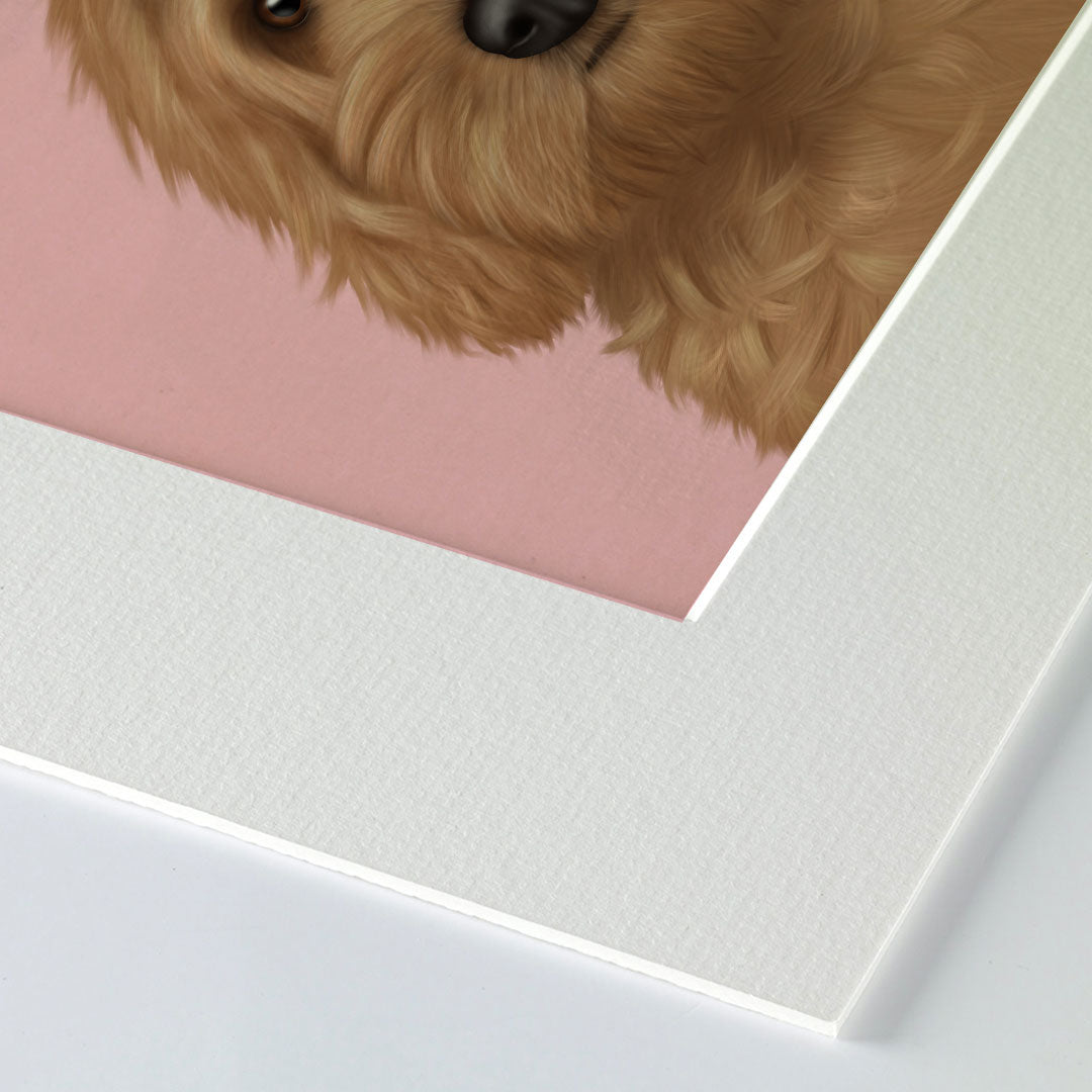 Cockapoo Mounted Print