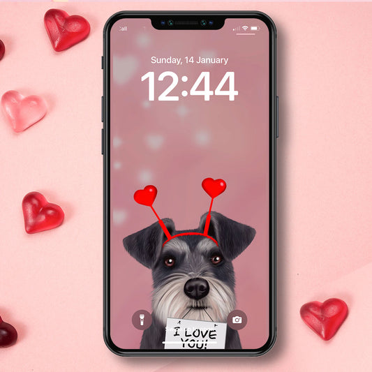 Schnauzer "I Love You" Phone Wallpaper