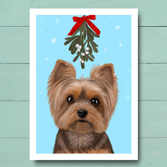 Yorkshire Terrier under Mistletoe