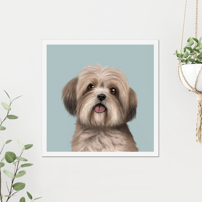 Lhasa Apso Art Print