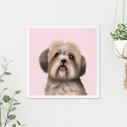 Lhasa Apso Art Print