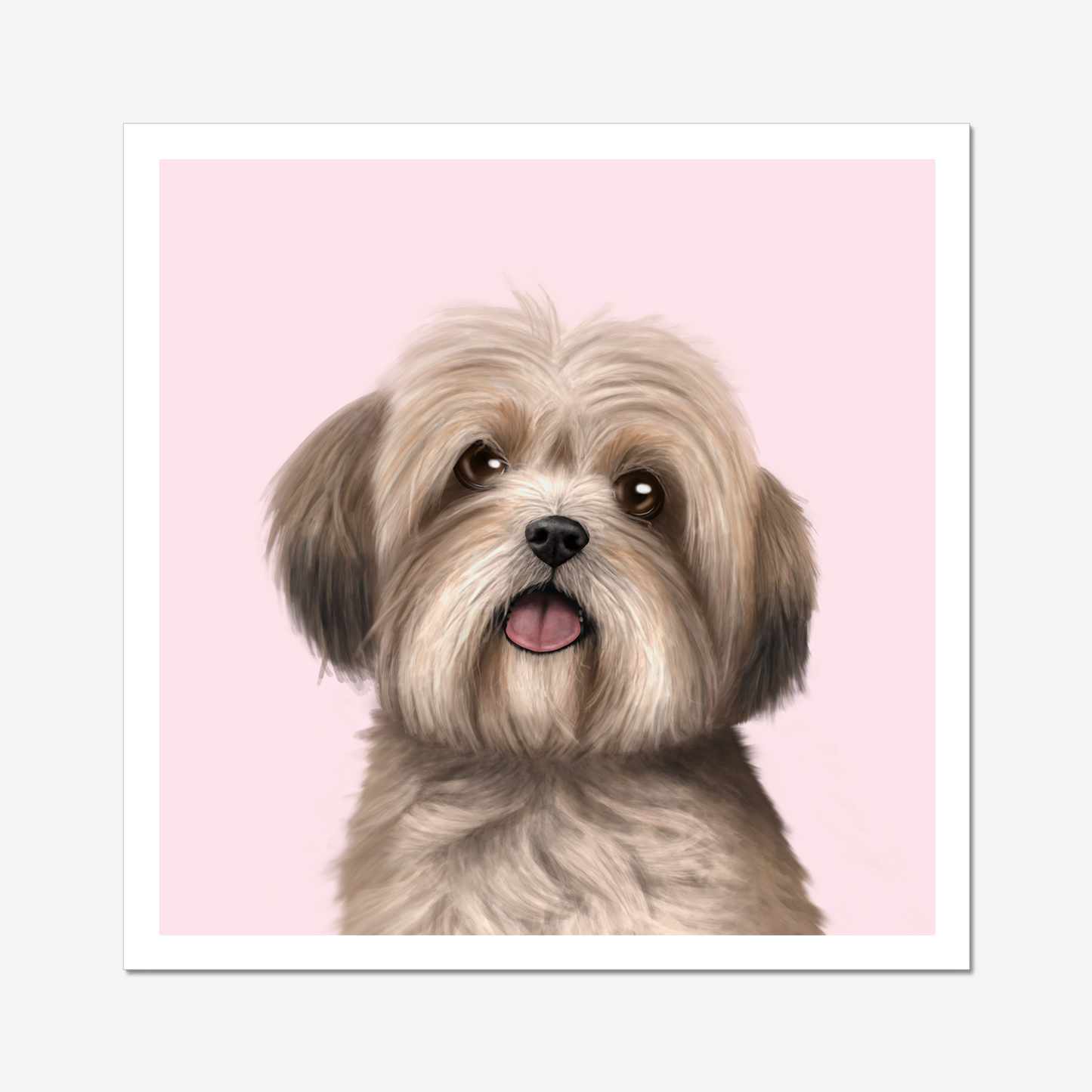 Lhasa Apso Art Print