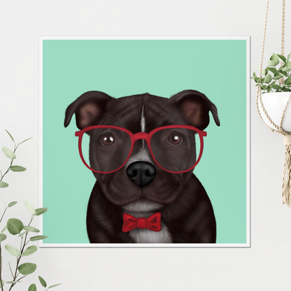 Staffordshire Bull Terrier in Glasses Digital Download
