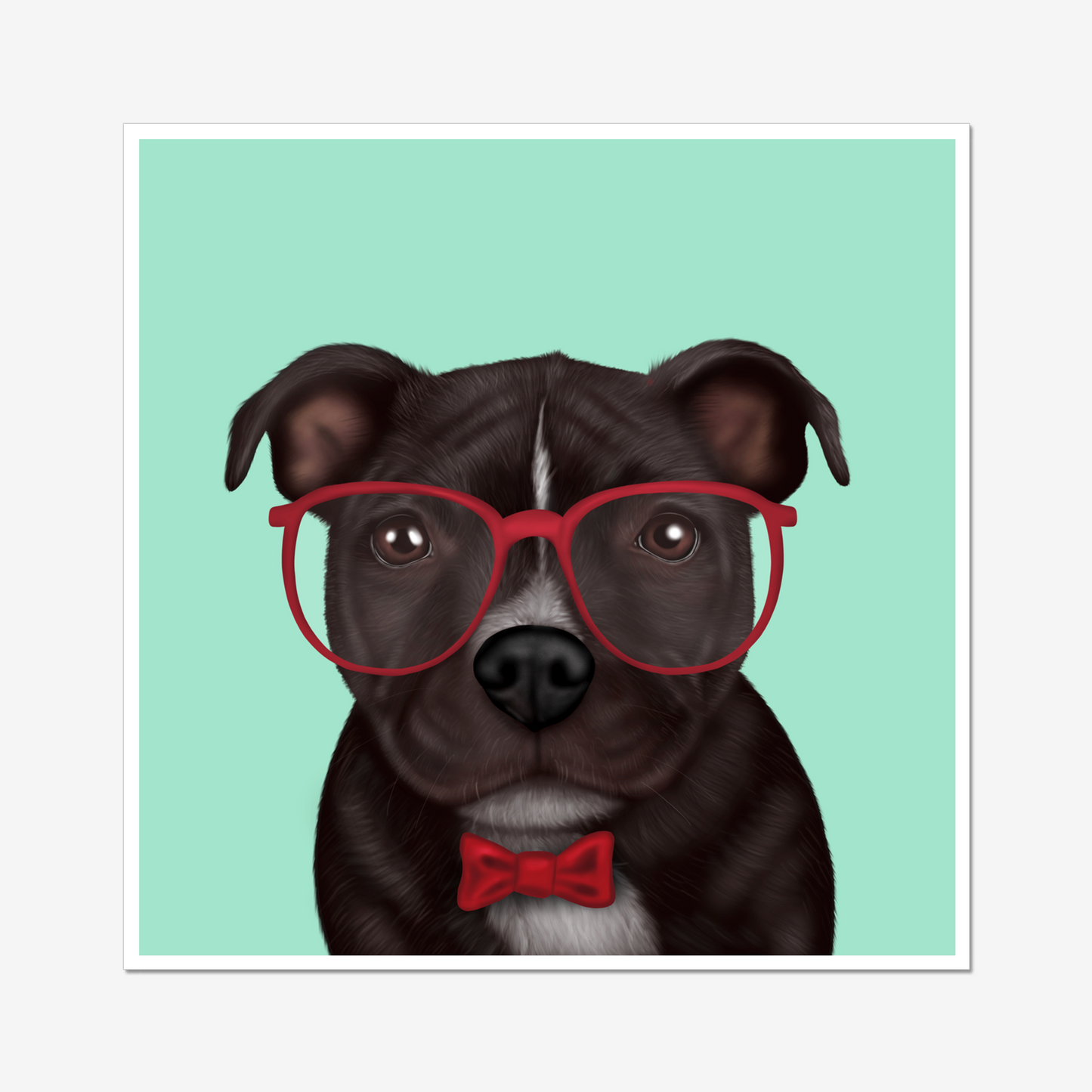 Staffordshire Bull Terrier in Glasses Digital Download