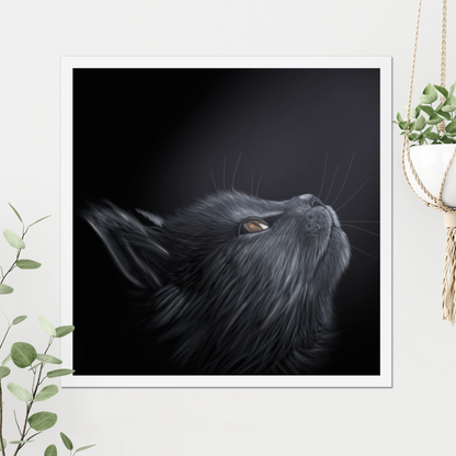 Cat in the night Digital Download