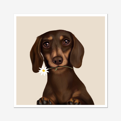 Dachshund Digital Download