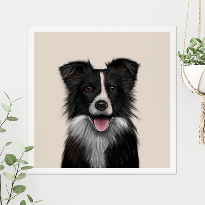 Border Collie Digital Download