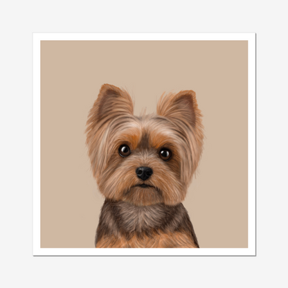 Yorkshire Terrier - Art Print