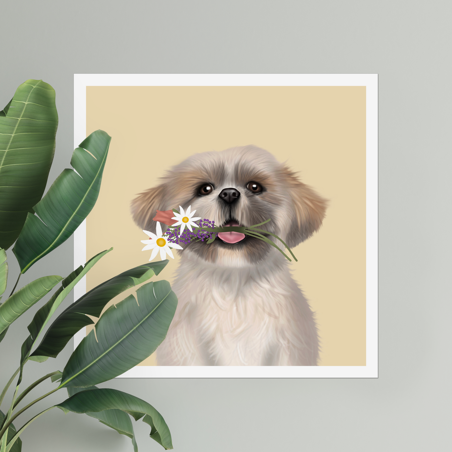 Shih Tzu Digital Download