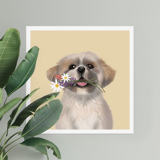 Shih Tzu Digital Download