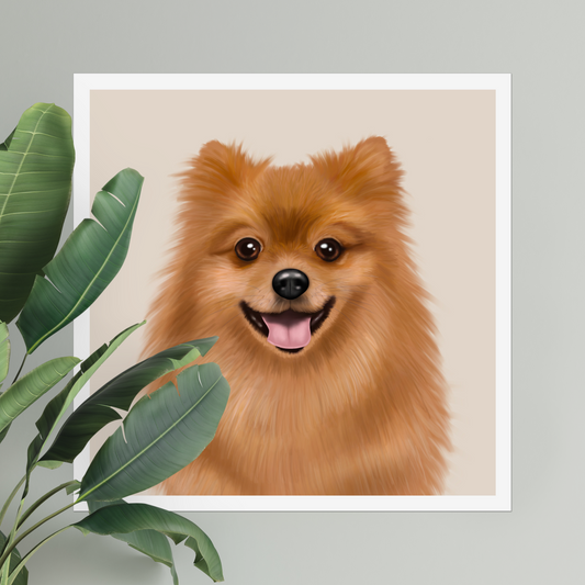 Pomeranian Digital Download
