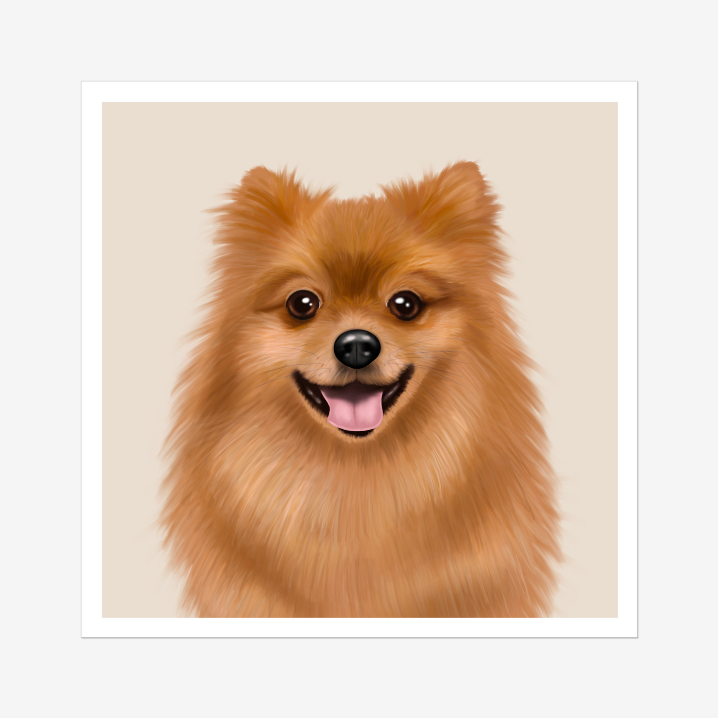 Pomeranian Digital Download