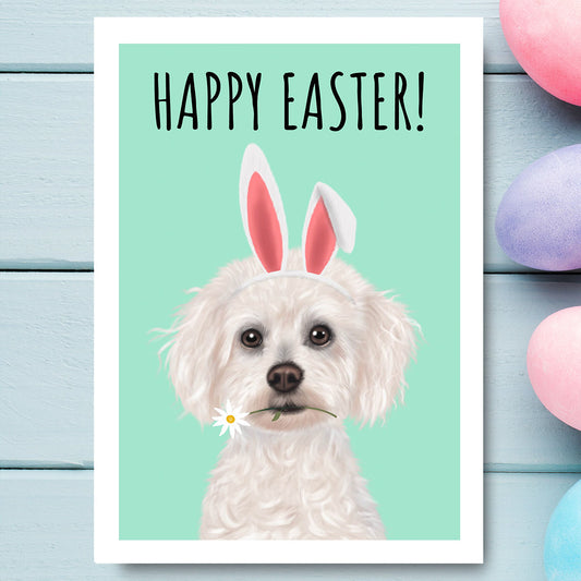 Bichon Frise Happy Easter Card