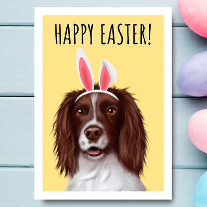 Springer Spaniel Happy Easter Card