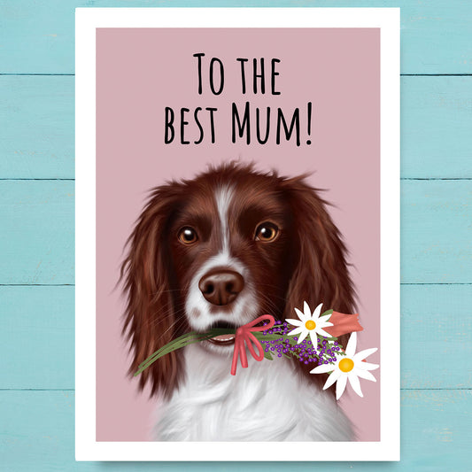 Springer Spaniel Best Mum Card