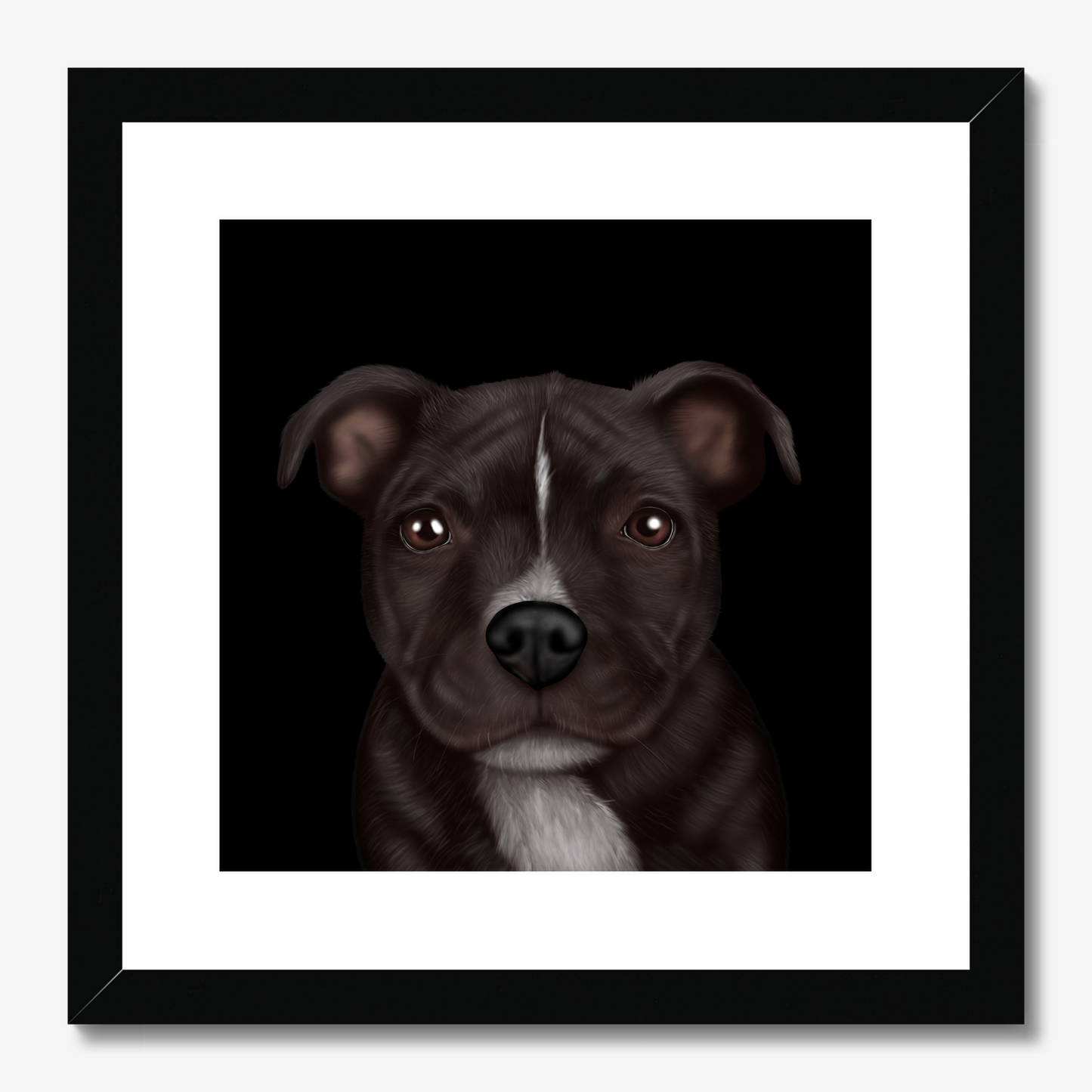 Staffordshire Bull Terrier Framed Print