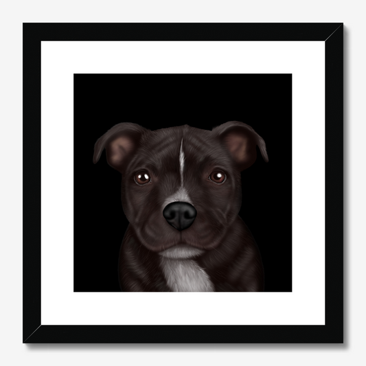 Staffordshire Bull Terrier Framed Print