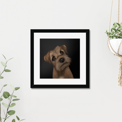 Border Terrier Framed Print