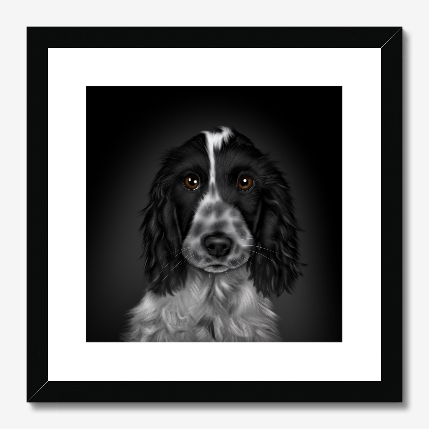 Blue Roan Cocker Spaniel Framed Print
