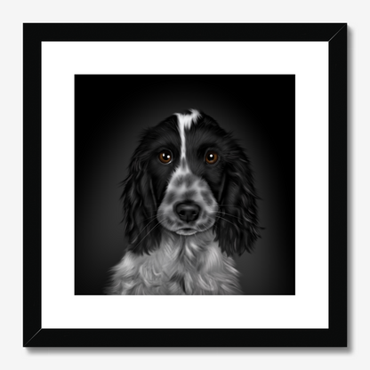 Blue Roan Cocker Spaniel Framed Print