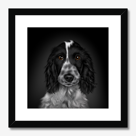 Blue Roan Cocker Spaniel Framed Print
