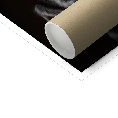 Black Labrador - Art Print