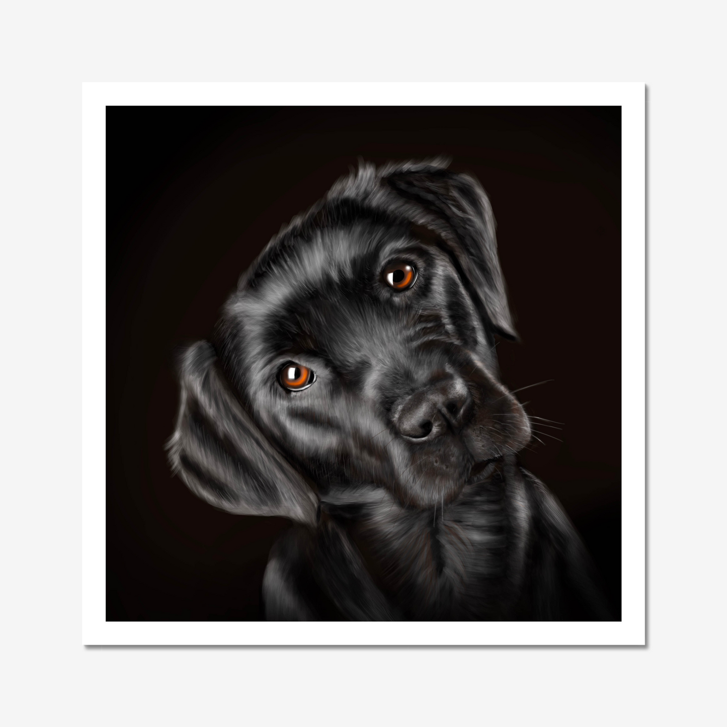 Black Labrador - Art Print